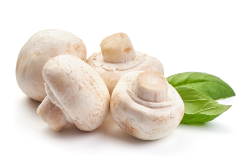 opvulchampignons /kgr (op bestelling)