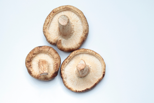 shiitake (mini) /kgr