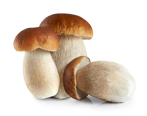 cepes (eekhoorntjesbrood) /kgr (op bestelling)