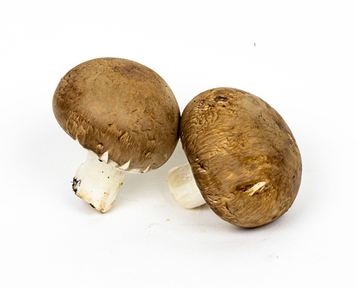 champignons paris (kastanje) /ds 250 g