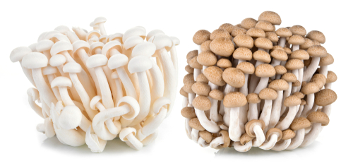beukenzwam (wit - bruin) verpakt 150 g