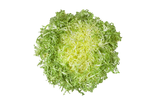 frisÃ©e fijn /st