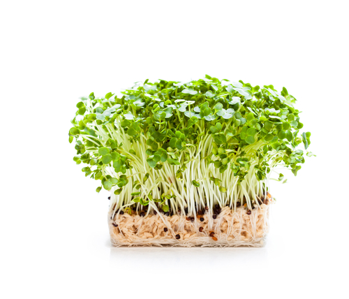 tuinkers per doosje