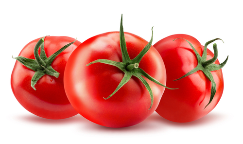 tomaten AA belgië /kgr